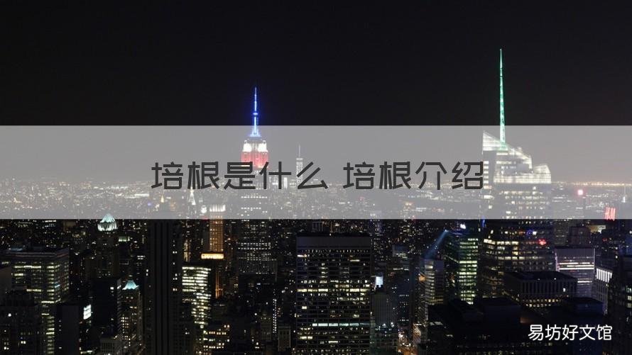 培根是什么 培根介绍 培根指的是什么