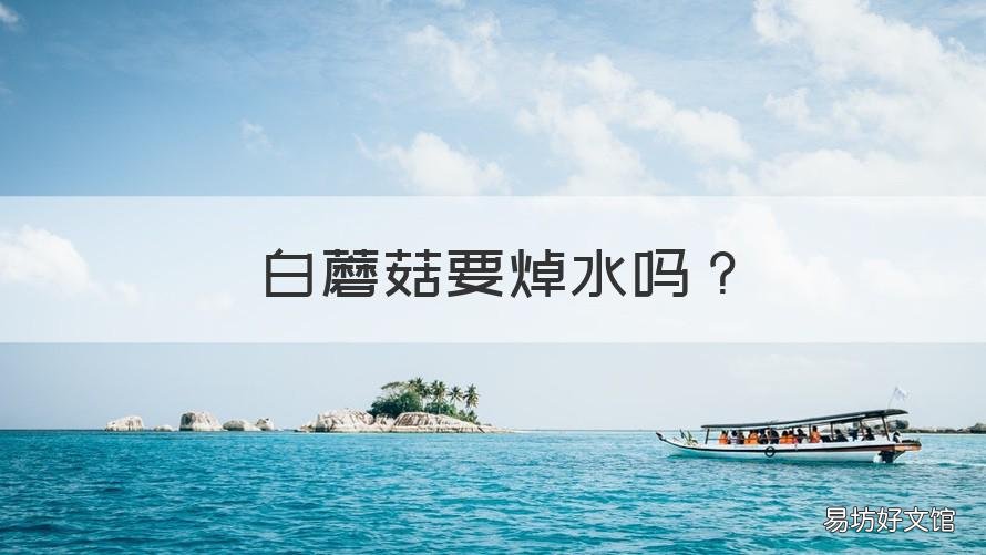 白蘑菇要焯水吗 白蘑菇焯水吗?