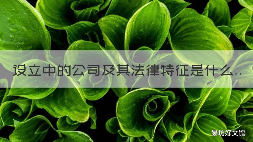 设立中的公司及其法律特征是什么 简述公司的概念及其法律特征