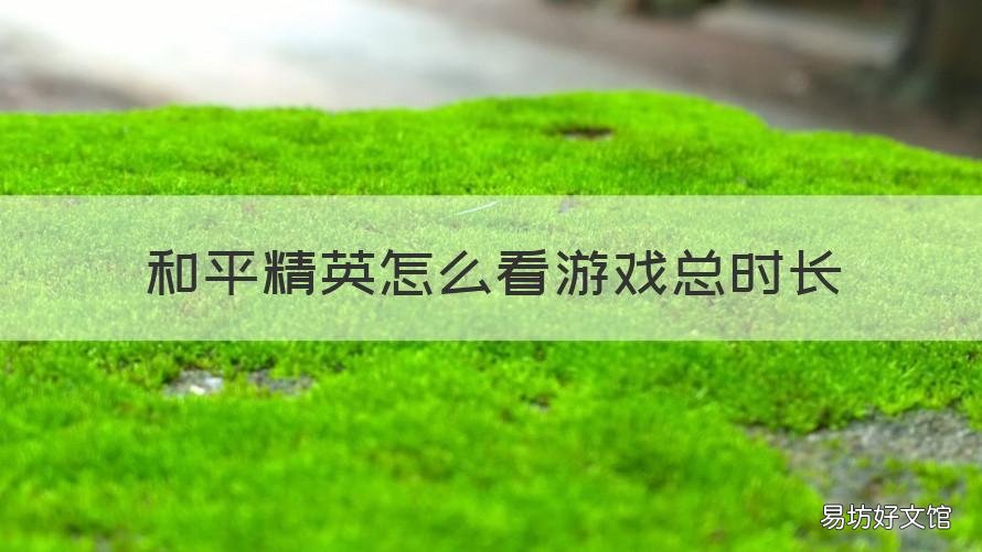 和平精英怎么看游戏总时长 和平精英怎么查看游戏总时长