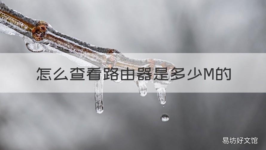 怎么查看路由器是多少M的 路由器多大怎么看