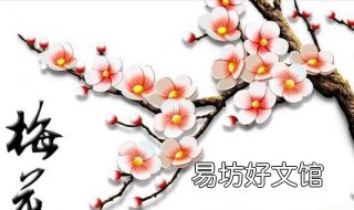 梅花香自苦寒来意思 梅花香自苦寒来意思相近的句子