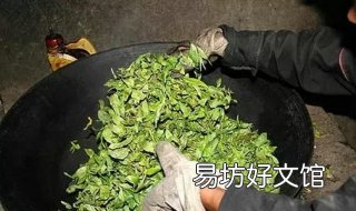 杀青是什么意思 茶叶杀青是什么意思