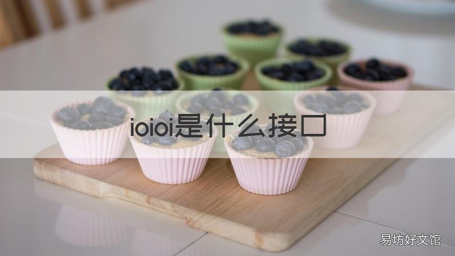 ioioi是什么接口 ioi接口是干什么的