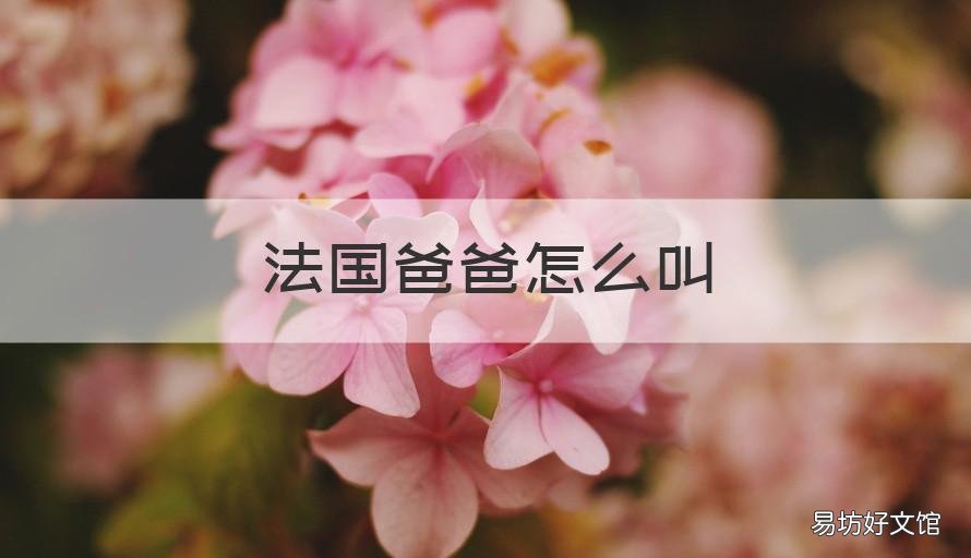 法国爸爸怎么叫 各国怎么叫爸爸