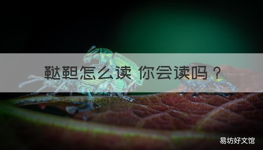 鞑靼怎么读 你会读吗 鞑靼怎么读 你会读吗英文