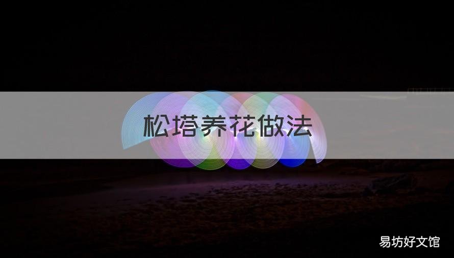 松塔养花做法 松塔如何配养花土