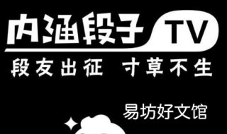 段友是什么意思 段友的肯定