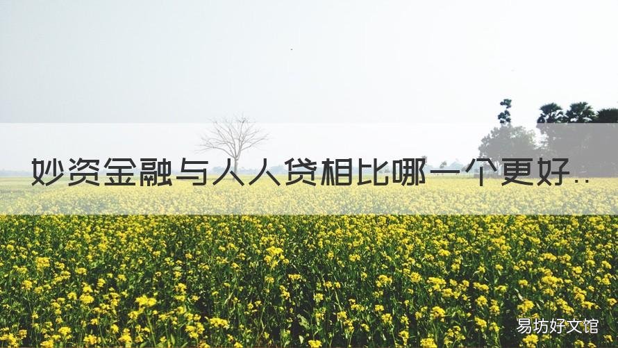 妙资金融与人人贷相比哪一个更好 人人贷的缺点