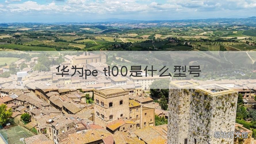 华为pe tl00是什么型号
