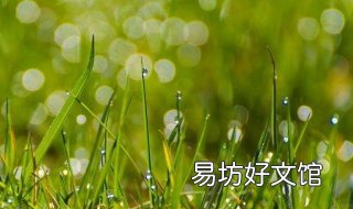 离离原上草的意思