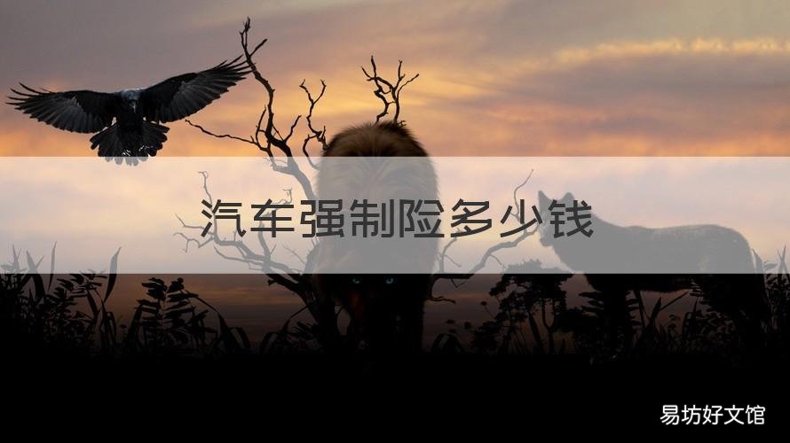 汽车强制险多少钱 2.0汽车强制险多少钱