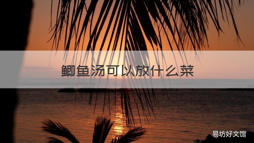 鲫鱼汤可以放什么菜 鲫鱼汤能放什么菜