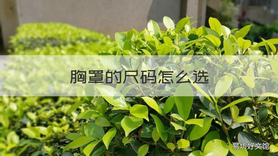 胸罩的尺码怎么选 胸罩尺码怎么选择70 75