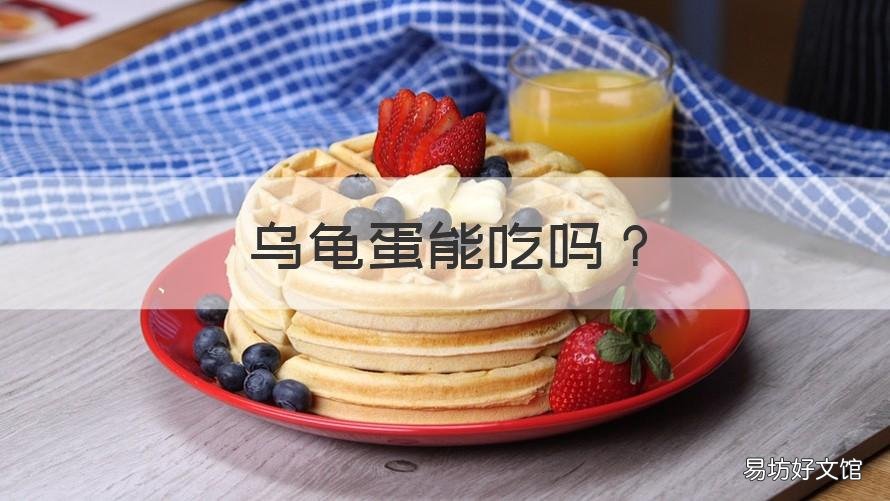 乌龟蛋能吃吗 乌龟蛋能吃吗有寄生虫吗