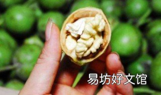 青核桃泡酒治什么病 青核桃泡酒怎么服用
