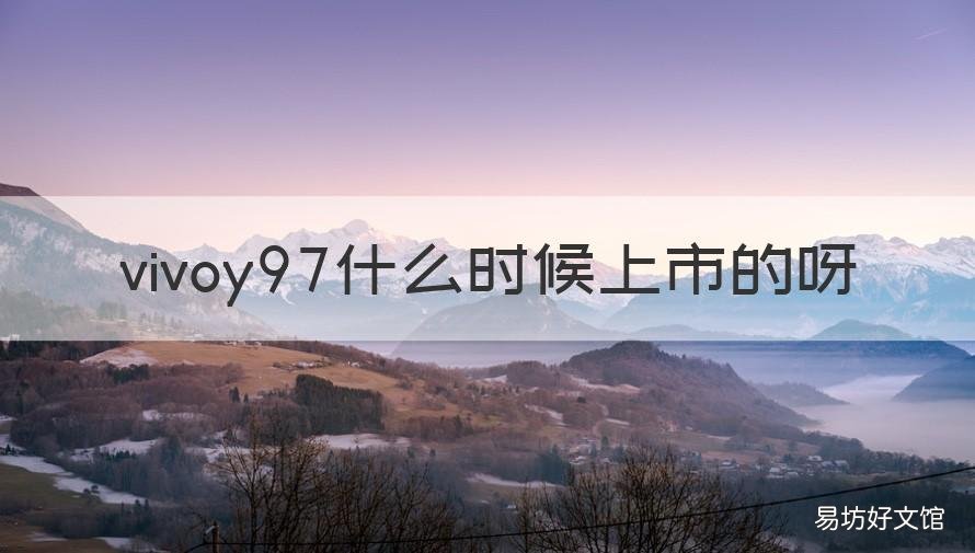 vivoy97什么时候上市的呀 vivoy97上市时间