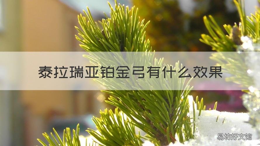 泰拉瑞亚铂金弓有什么效果 泰拉瑞亚金弓和铂金弓