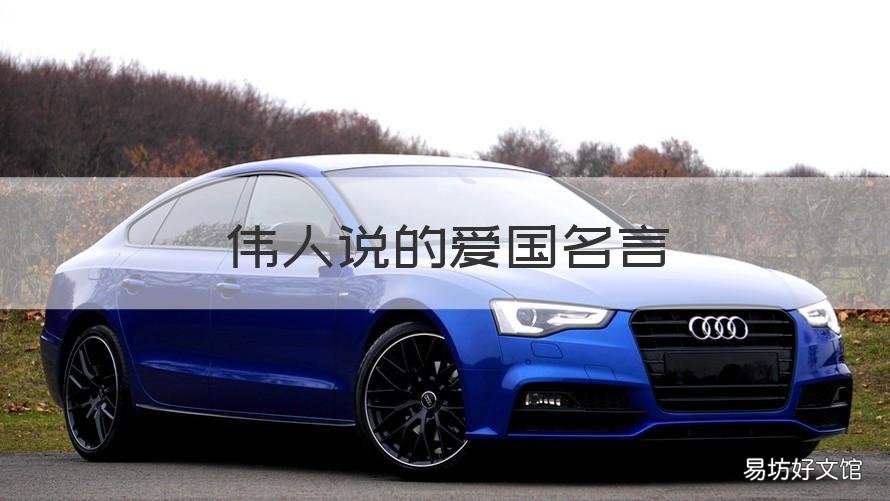 伟人说的爱国名言 关于伟人说过的爱国的名言