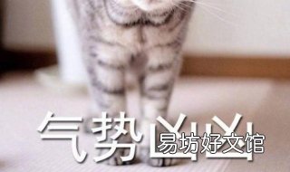 气势汹汹的意思 气势汹汹的意思解释