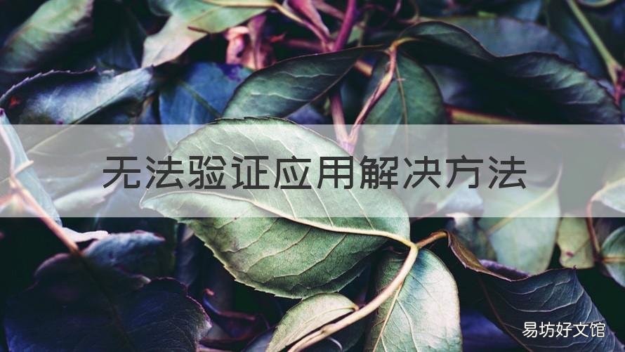 无法验证应用解决方法 无法验证应用什么意思