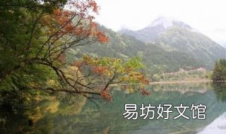 水平如镜的意思 水平如镜的意思是什么