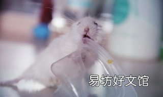 汗颜是什么意思 男人汗颜是什么意思