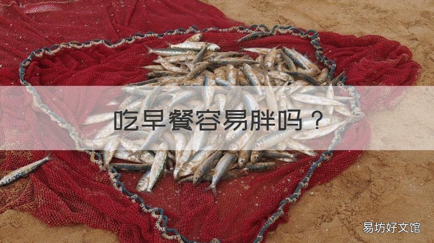 吃早餐容易胖吗 吃早餐能胖吗
