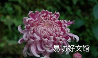 浪子回头金不换的意思 浪子回头金不换的意思爱情