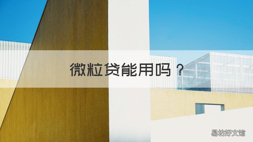 微粒贷能用吗 微粒贷可以用吗?