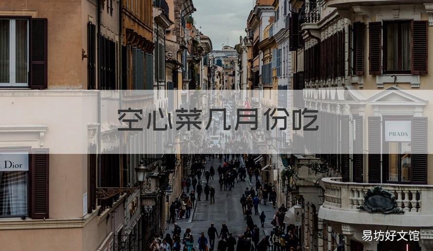 空心菜几月份吃 空心菜几月份吃的