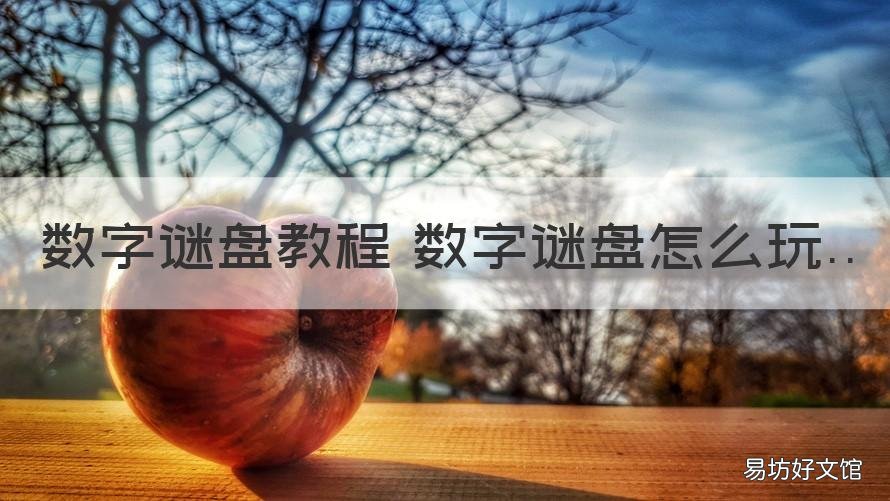 数字谜盘教程 数字谜盘怎么玩 数字谜盘有什么规律
