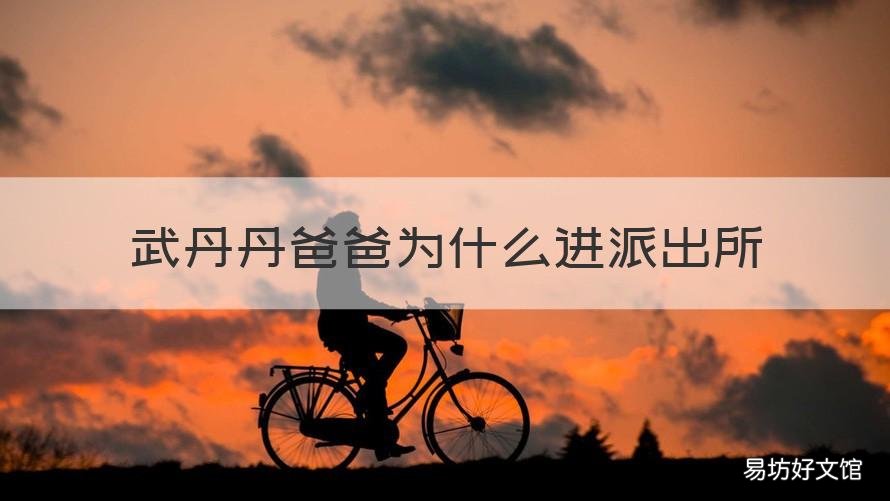 武丹丹爸爸为什么进派出所 丹西派出所所长叫什么