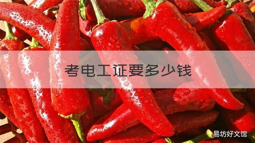 考电工证要多少钱