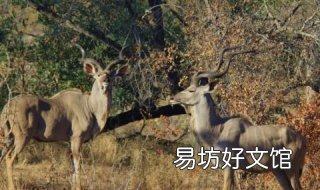 神态自若的意思 神态自若是什么意思