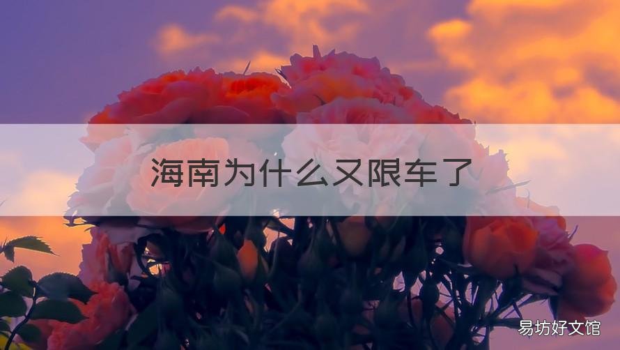 海南为什么又限车了 海南开车限号吗