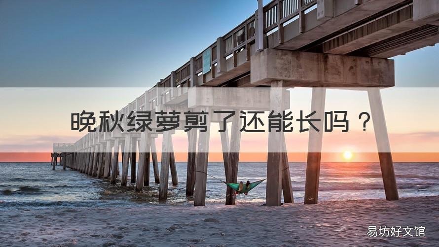 晚秋绿萝剪了还能长吗 绿萝长长了可以剪短吗