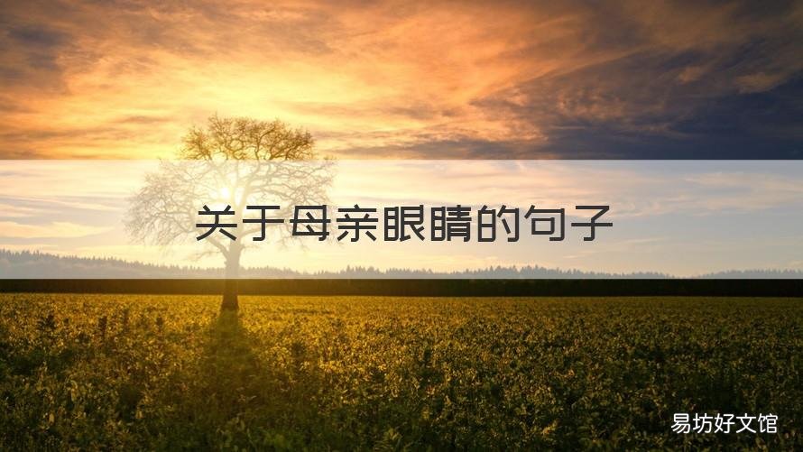 关于母亲眼睛的句子 描写妈妈的眼睛的句子80
