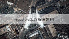 appstore如何解除禁用 苹果怎么解除禁用app