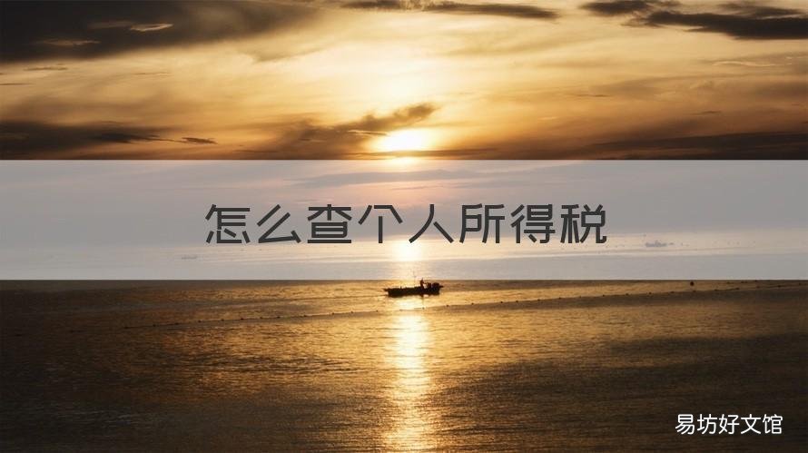 怎么查个人所得税 怎么查个人所得税有没有交