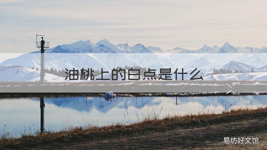 油桃上的白点是什么 油桃上面有白色斑点