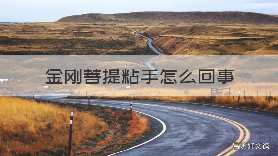 金刚菩提粘手怎么回事 金刚菩提表面发粘怎么处理