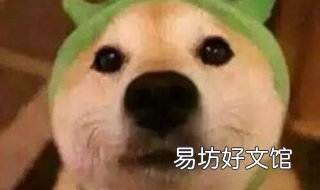 舔狗什么意思网络用语 网络词舔狗是什么意思