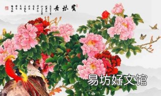 花开富贵的意思 花开富贵意思解释