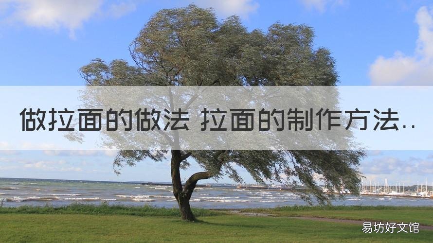 做拉面的做法 拉面的制作方法 拉面怎么做