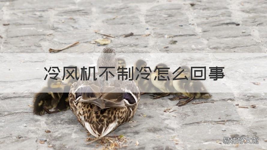 冷风机不制冷怎么回事 冷风机不制冷怎么办