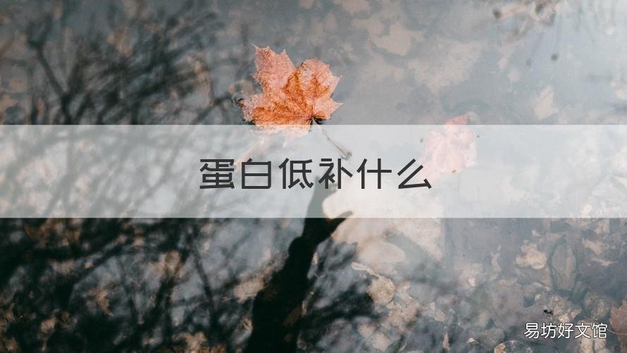 蛋白低补什么 白蛋白低吃什么补得