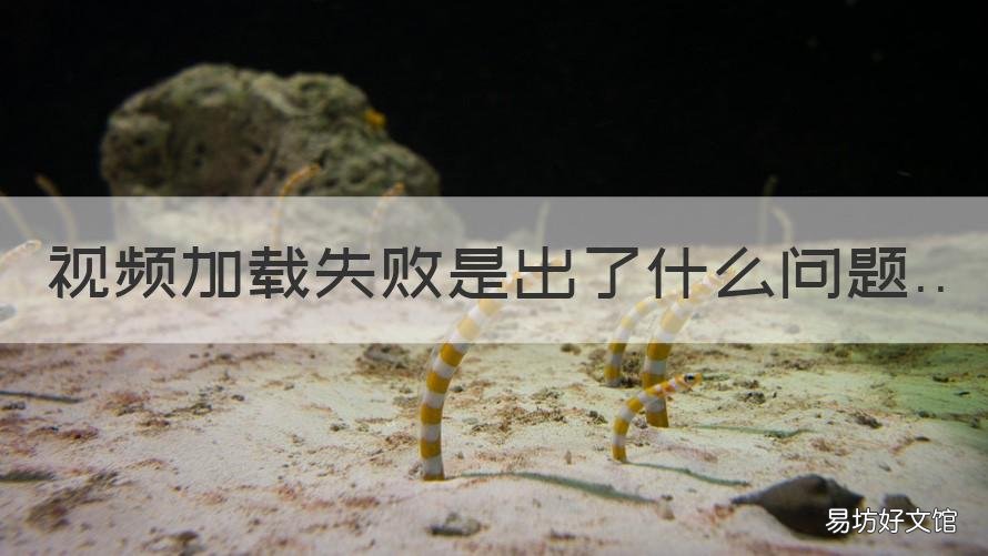 视频加载失败是出了什么问题 相册视频加载失败是出了什么问题