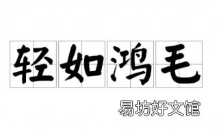 轻于鸿毛的意思 生命重于泰山轻于鸿毛的意思