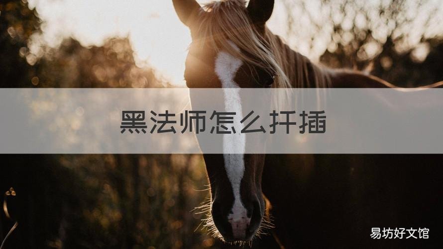 黑法师怎么扦插 黑法师怎么扦插视频